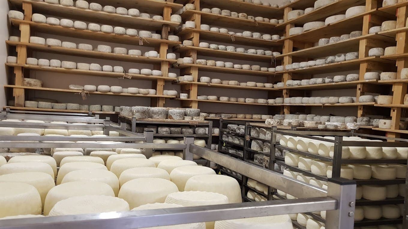 Formaggeria Toscana Srl